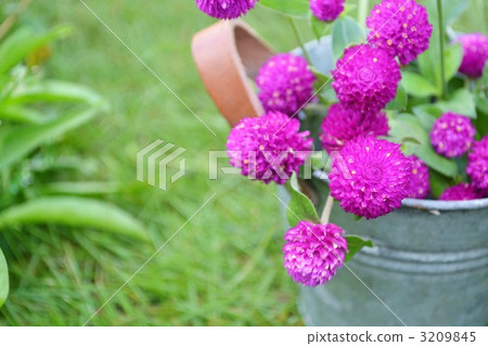 sunshiny, vibrant, bucket 3209845