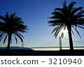Pearl Bridge 3210940