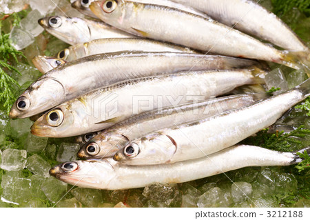Fresh sardines Fresh sardines 3212188