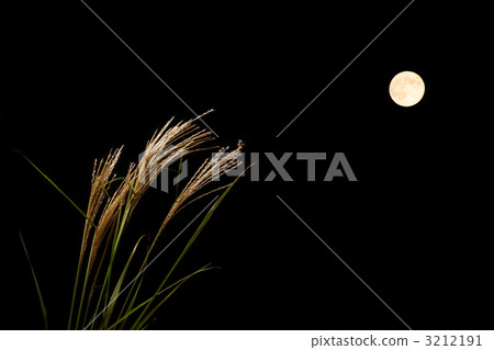 Full moon of the night of the night Full moon of the night of the night 3212191