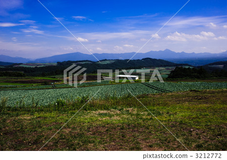 My wife's hill My wife's hill 3212772