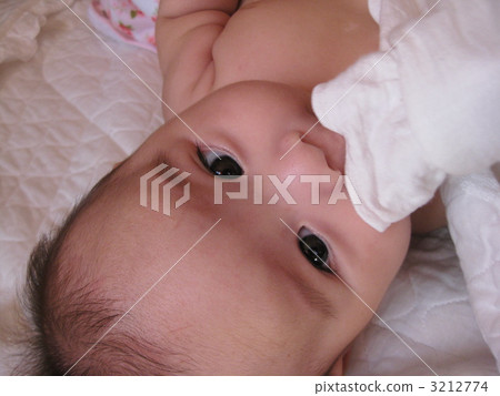 cloth, fabric, head 3212774