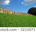 Dried rice straw 3213071