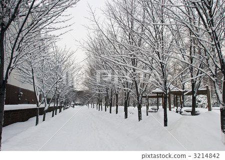 札幌啤酒博物館雪塔 札幌啤酒博物館雪塔 3214842