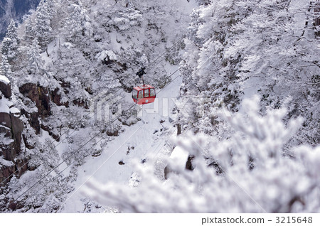 [Mie Prefecture/Gozaisho Ropeway] Gondola going through the frost-covered trees 3215648