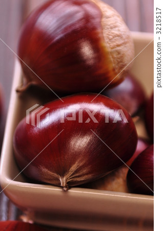 丹波板栗 3218517