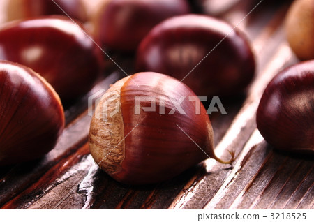 丹波板栗 3218525