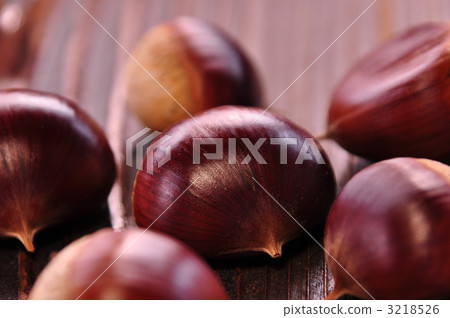 丹波板栗 3218526