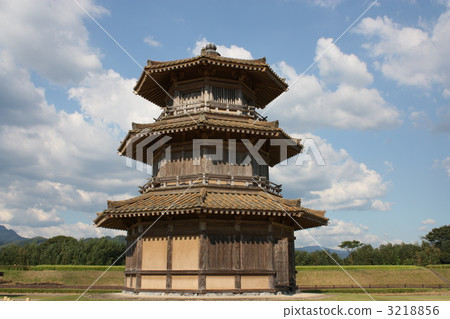 Kimichi castle 3218856