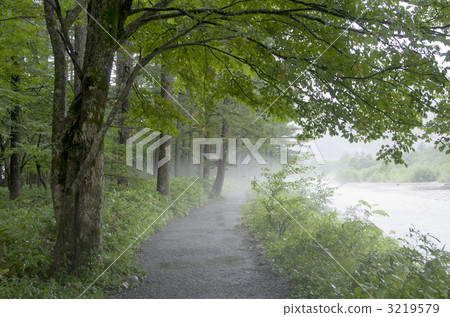 Promenade of Kamikochi 3219579