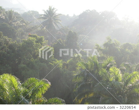 早晨太陽的Mt. Bukit Tima 早晨太陽的Mt. Bukit Tima 3220654