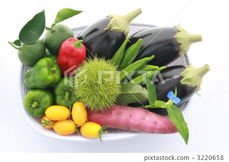 胡椒 柿子椒 青椒 3220658