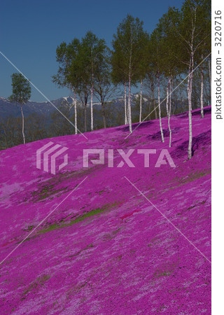 hill, brilliant, vivid 3220716