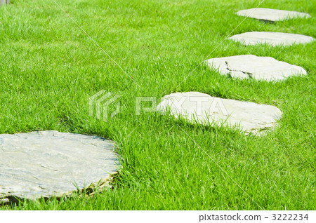 passage, empty lot, lawn 3222234