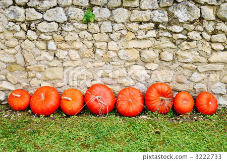 pumpkin 3222733