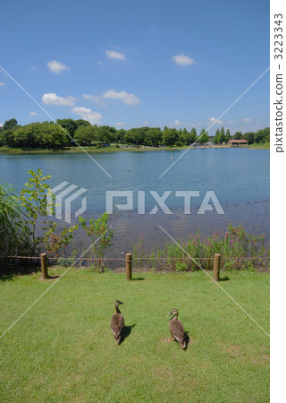Showa Kinen Park Showa Kinen Park 3223343