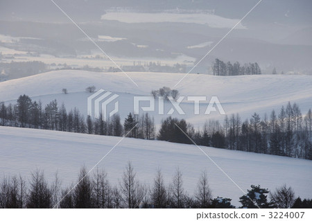 snow scene, frozen field, bieicho 3224007