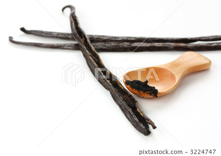 香草 香草 3224747