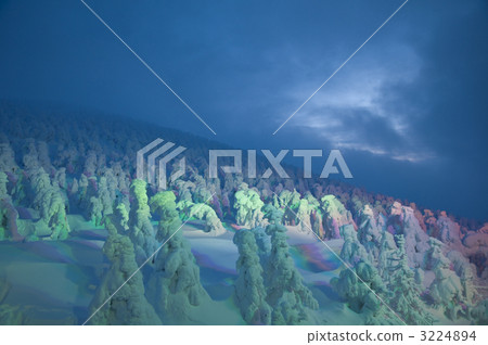 A tree 3224894