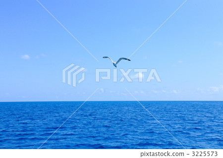 Blue sky and oneway Blue sky and oneway 3225573