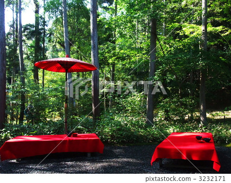 在樹林裡的茶館 在樹林裡的茶館 3232171