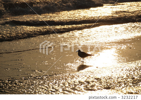 reflection, reflexion, reflections 3232217