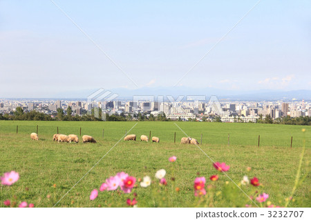 Yanagaoka天文台 3232707