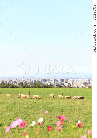 Yanagaoka天文台 3232708