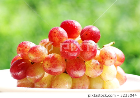 Grapes 3235044