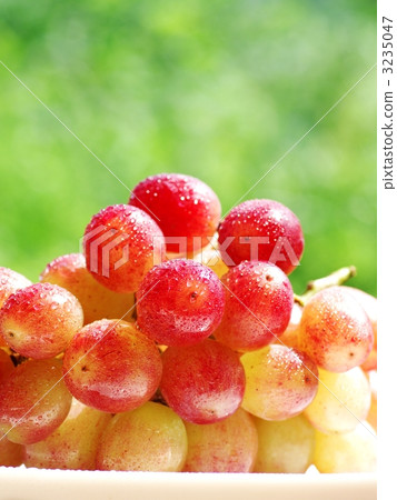 Grapes Grapes 3235047
