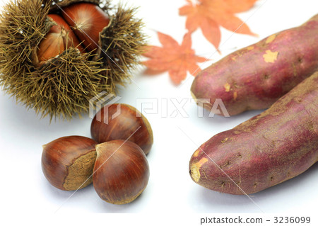 Chestnut and sweet potato Chestnut and sweet potato 3236099