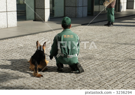 警犬 警犬 3236294