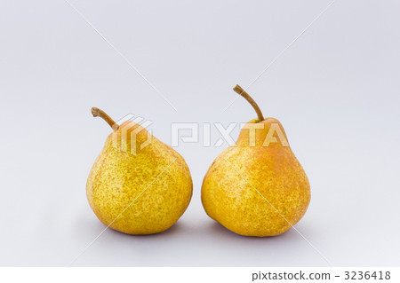 Aurora Aurora 3236418