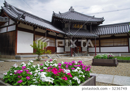 大年佛寺圓傳(大阪市平野區) 大年佛寺圓傳(大阪市平野區) 3236749