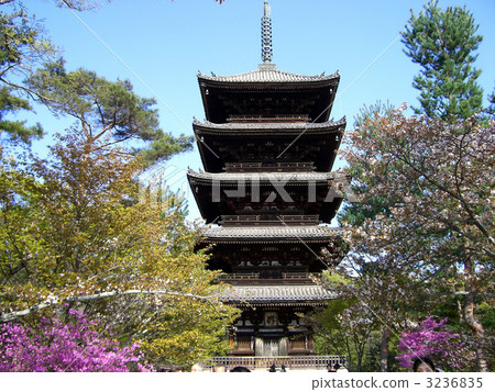 shrines and temples, ninna-ji, important cultural property 3236835