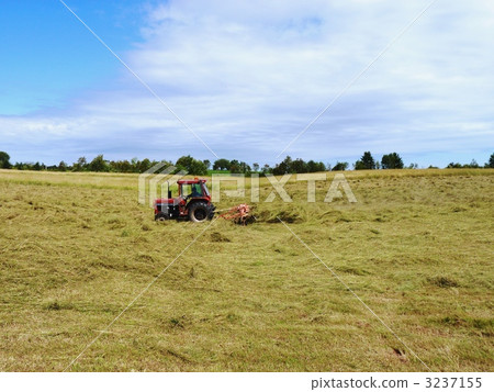 golden, pasture, rural scene 3237155