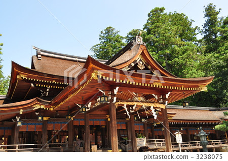 Taga Taisha Taga Taisha 3238075