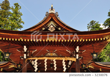 Taga Taisha Taga Taisha 3238076