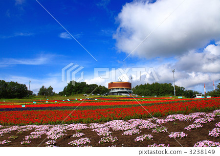 Abashiri City with Princess 3238149