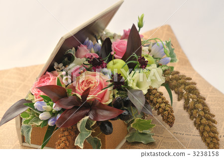 綠蘋果 花道 插花 3238158