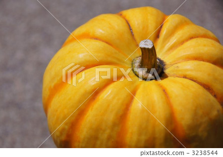  南瓜（黃栗子南瓜） 3238544