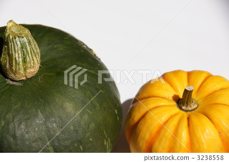  Pumpkin (black skin chestnut pumpkin) (yellow chestnut pumpkin) 3238558
