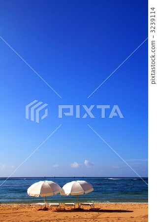 沙灘傘 沙灘傘 3239114
