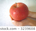 孩子的手用蘋果 3239608