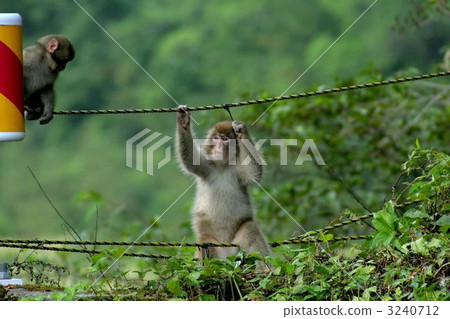 Children of the inner womb 3240712