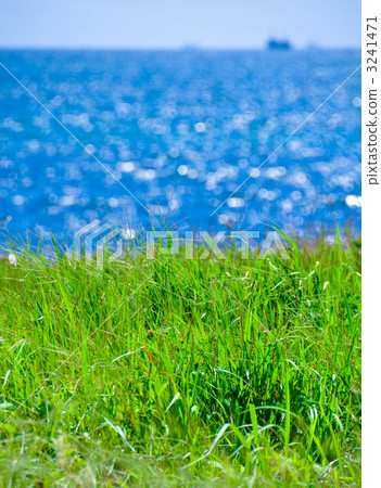 夏日景色,綠草碧海。 夏日景色,綠草碧海。 3241471