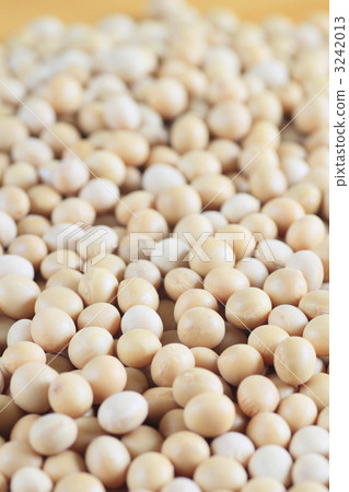 大豆 3242013