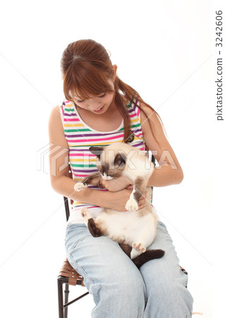 貓和女士們 貓和女士們 3242606