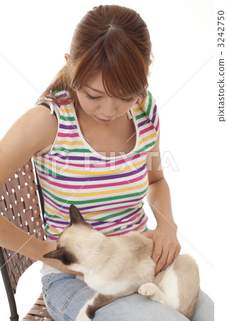 貓和女士們 3242750