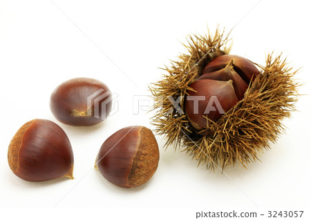 Saki chestnut Saki chestnut 3243057